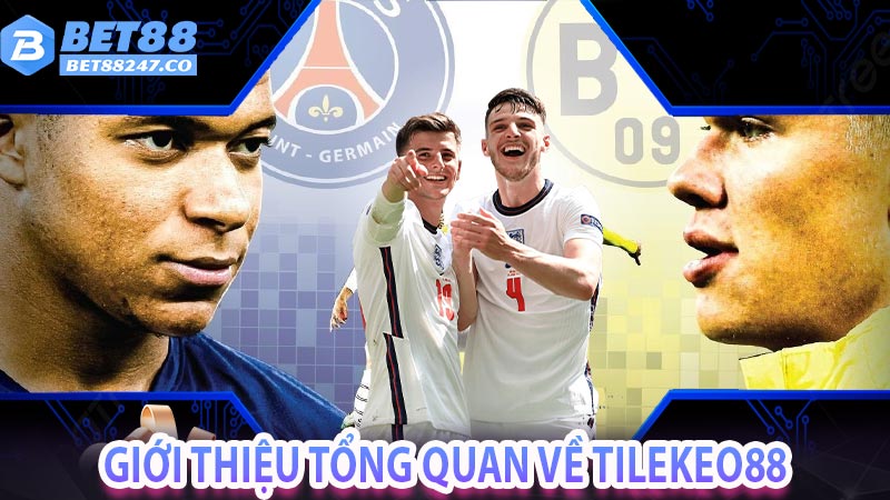 Giới thiệu tổng quan về Tilekeo88